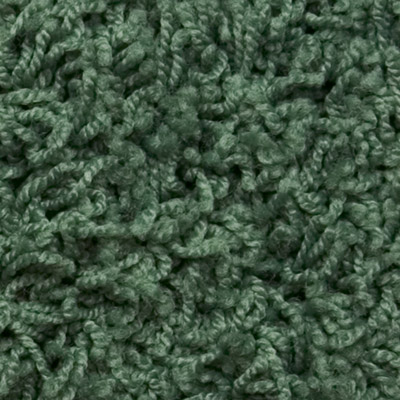 Shag-004-evergreen