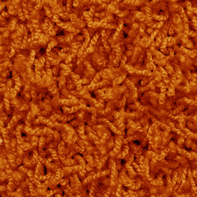 Shag-023-orange