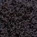 Shag-010-black