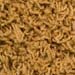 Shag-016-gold