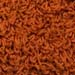 Shag-019-pumpkin