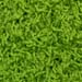 Shag-025-green