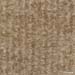 CP-brocade